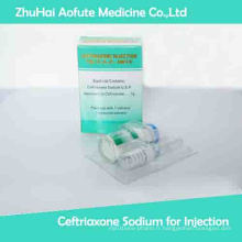 OEM Ceftriaxone Sodium pour Injection